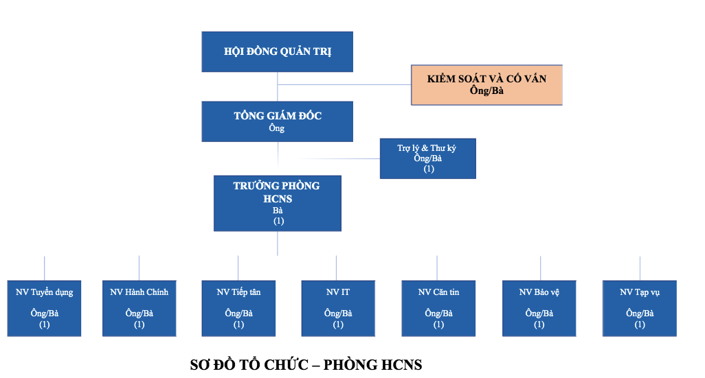 Cơ cấu tổ chức phòng  HCNS chuyên nghiệp