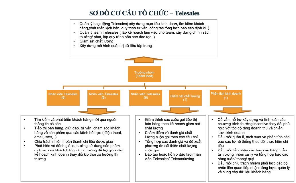 Cơ cấu tổ chức phòng Telesales chuyên nghiệp