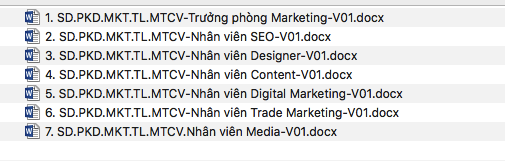 Phần 4: MTCV Phòng Digital Marketing