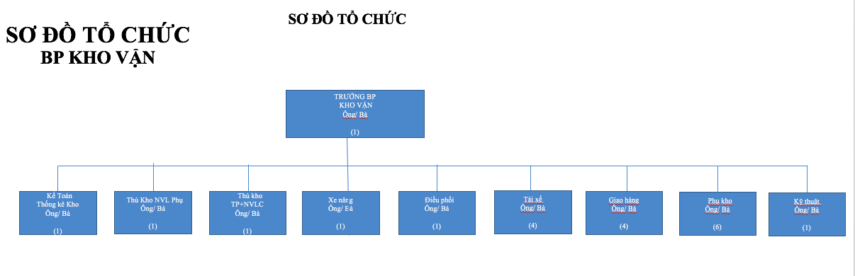 Cơ cấu tổ chức phòng kho & vận chuyên nghiệp