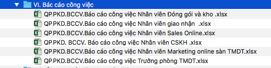 Phần 4: Báo cáo công việc các vị trí TMĐT