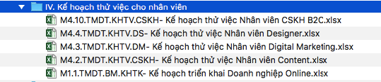 Phần 5: Kế hoạch thử việc 60 ngày - Phòng TMĐT